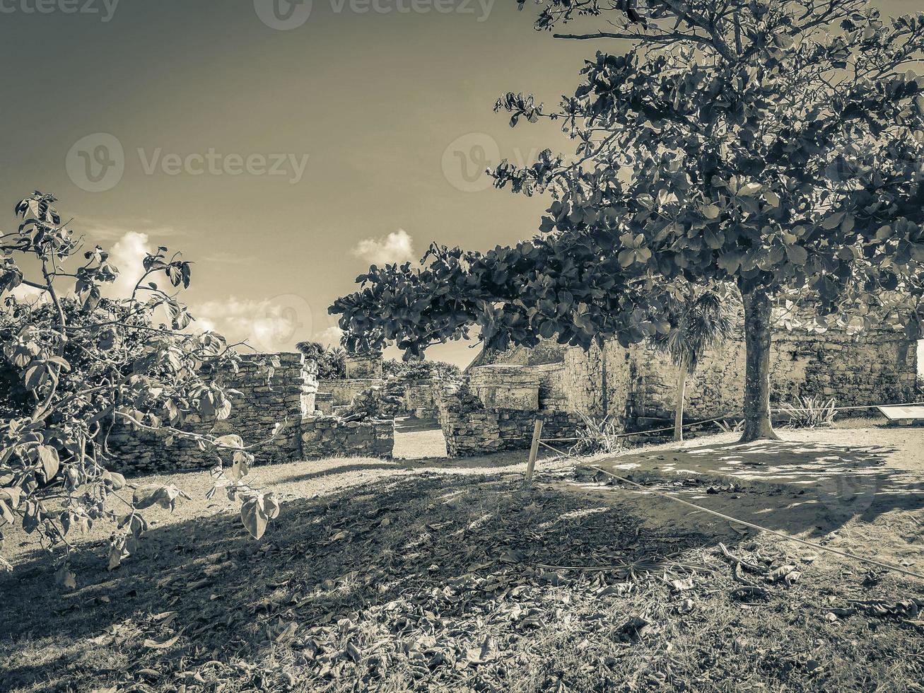 oude tulum ruïnes Maya site tempel piramides artefacten zeegezicht mexico. foto