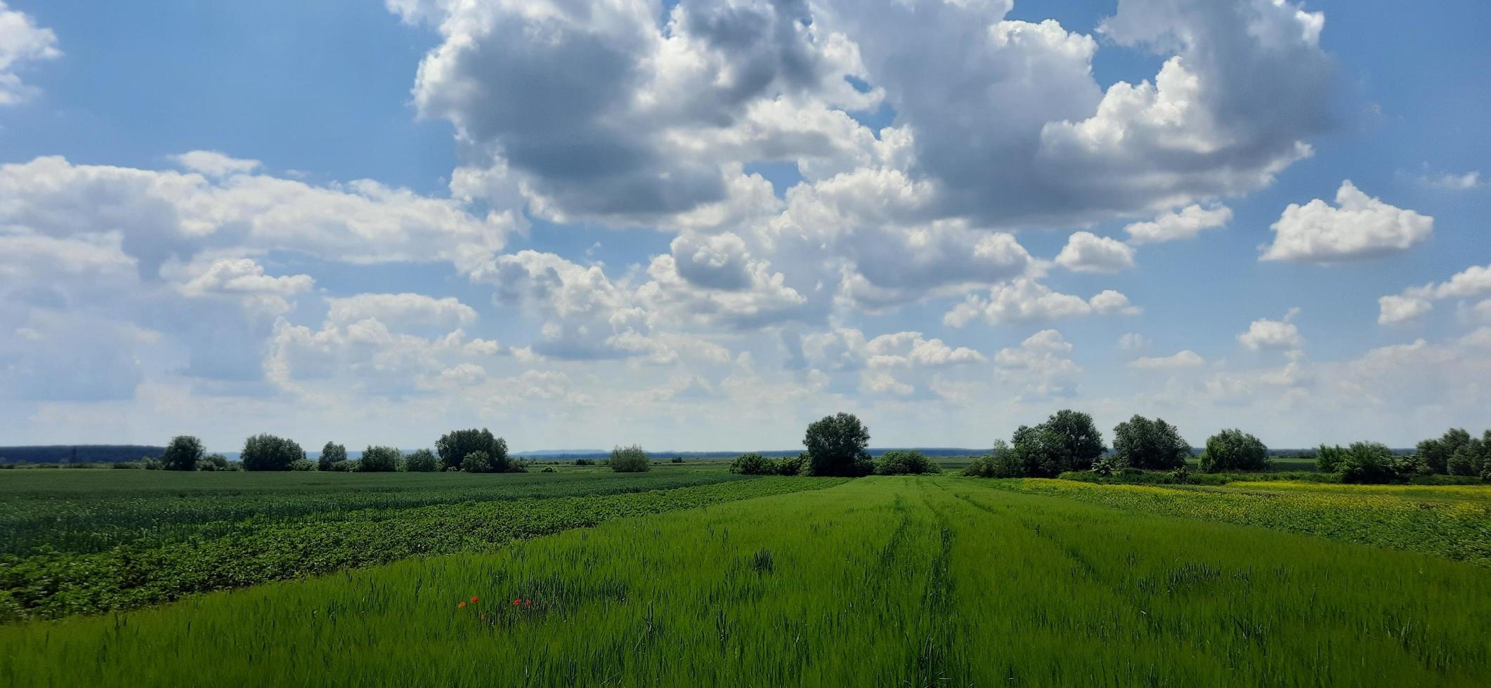 prachtig natuurlijk landschap foto