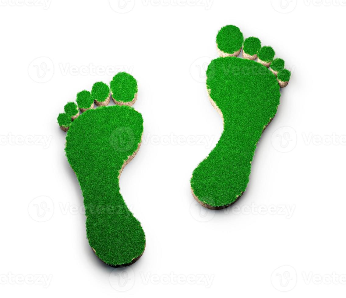 voetafdruk vorm gemaakt van groen gras en rotsgrond textuur dwarsdoorsnede met 3d illustratie foto