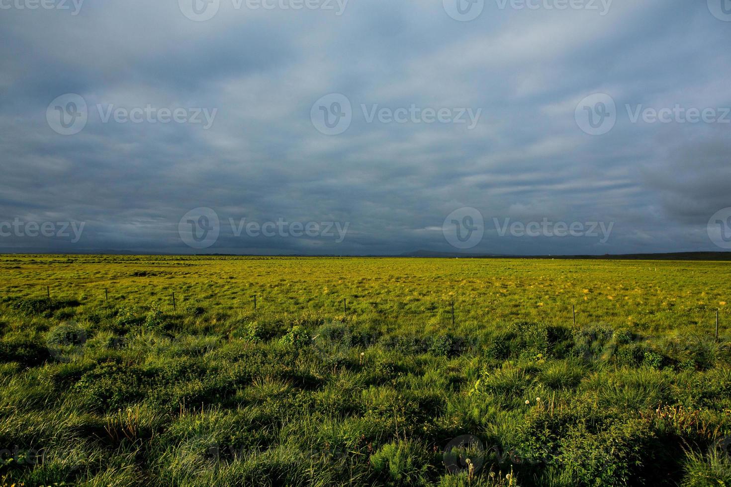 pittoresk landschap met groene natuur in ijsland in de zomer. beeld met een zeer rustig en onschuldig karakter. foto