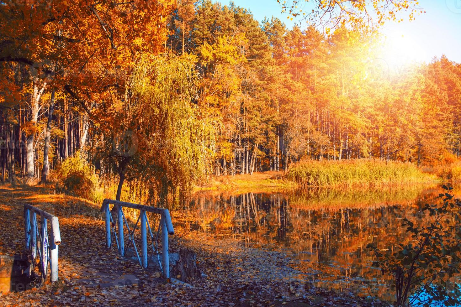 herfstlandschap met helder kleurrijk gebladerte. nazomer. foto