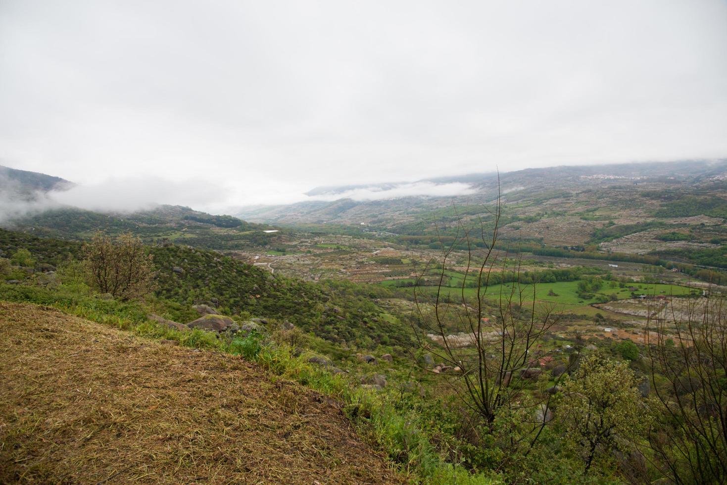 groene vallei in een mistige dag foto