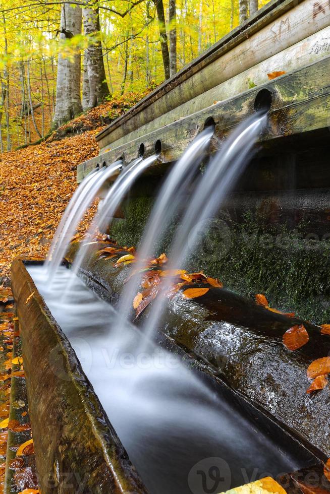 fontein in yedigoller nationaal park, bolu, turkije foto