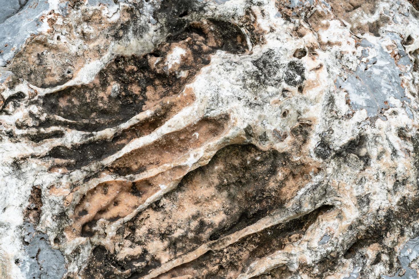 close-up rotspatroon met gat in de natuur foto