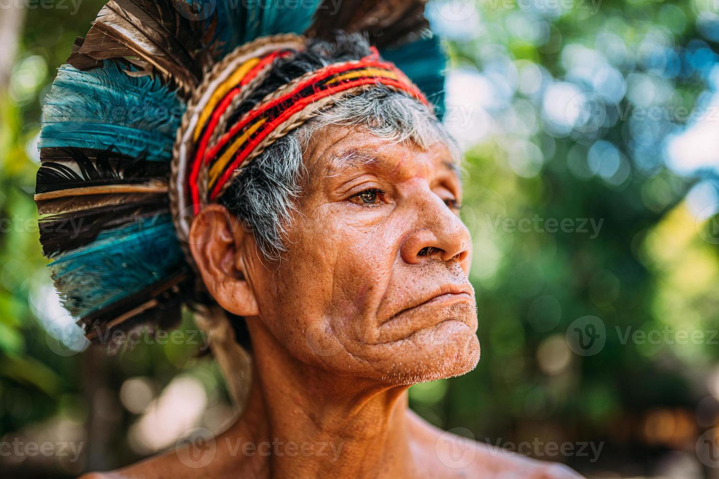 indiaan van de pataxo-stam, met veren hoofdtooi. oudere braziliaanse indiaan op zoek naar rechts. focus op gezicht foto