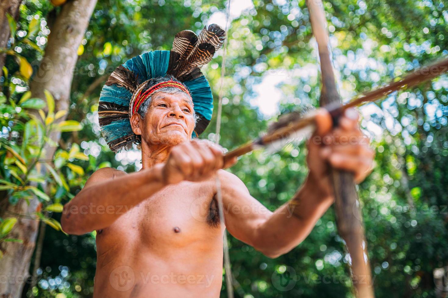 indiaan van de pataxo-stam, met een veren hoofdtooi en pijl en boog. oudere braziliaanse indiaan op zoek naar rechts. foto