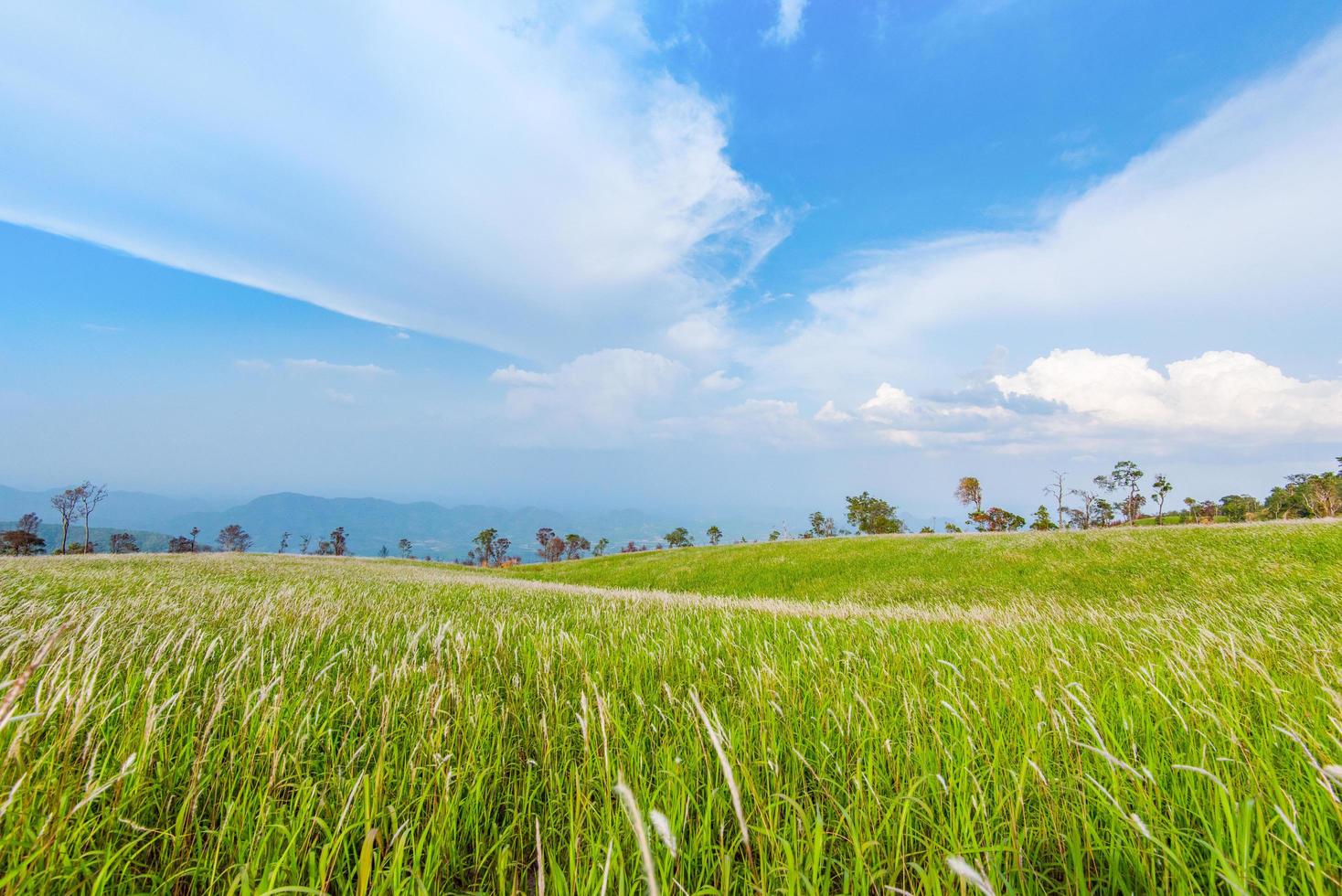 landschap groen gras weide op helling heuvel berg achtergrond foto