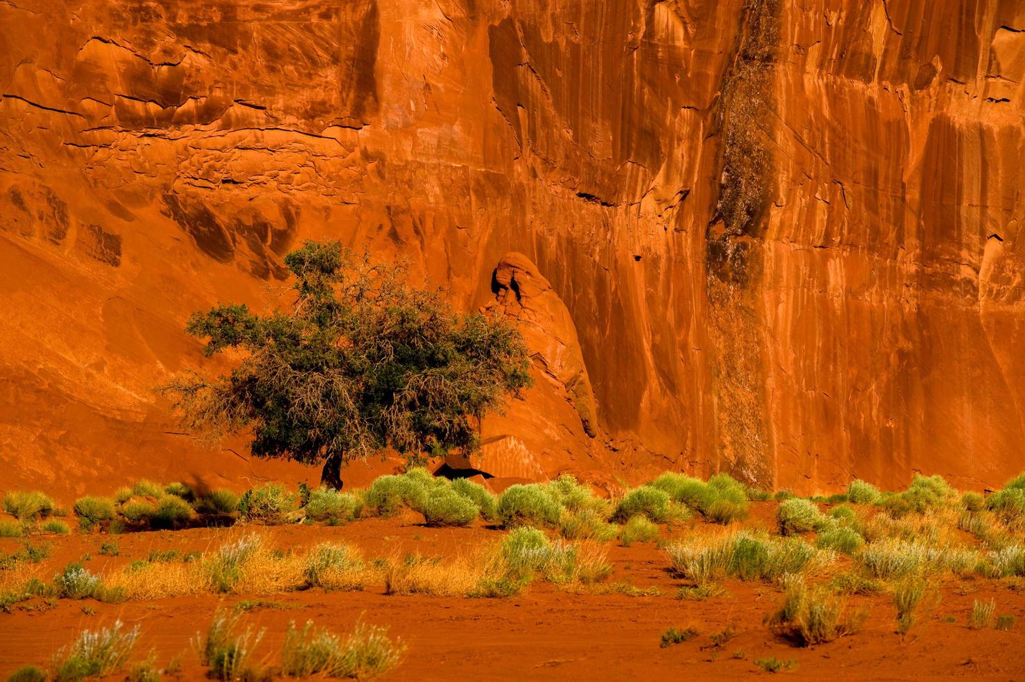 Monument Valley Utah foto