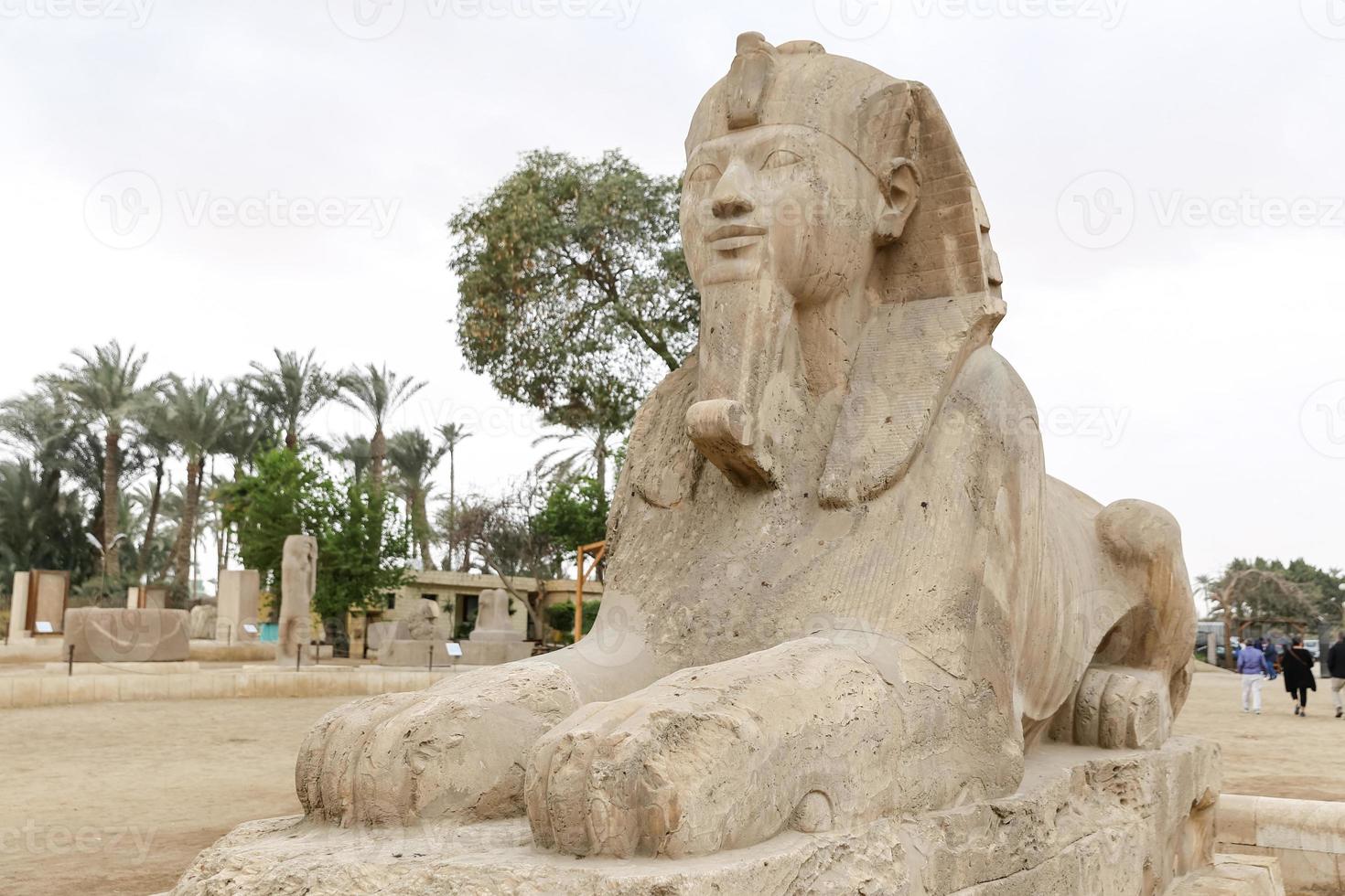 sfinx in memphis, cairo, egypte foto