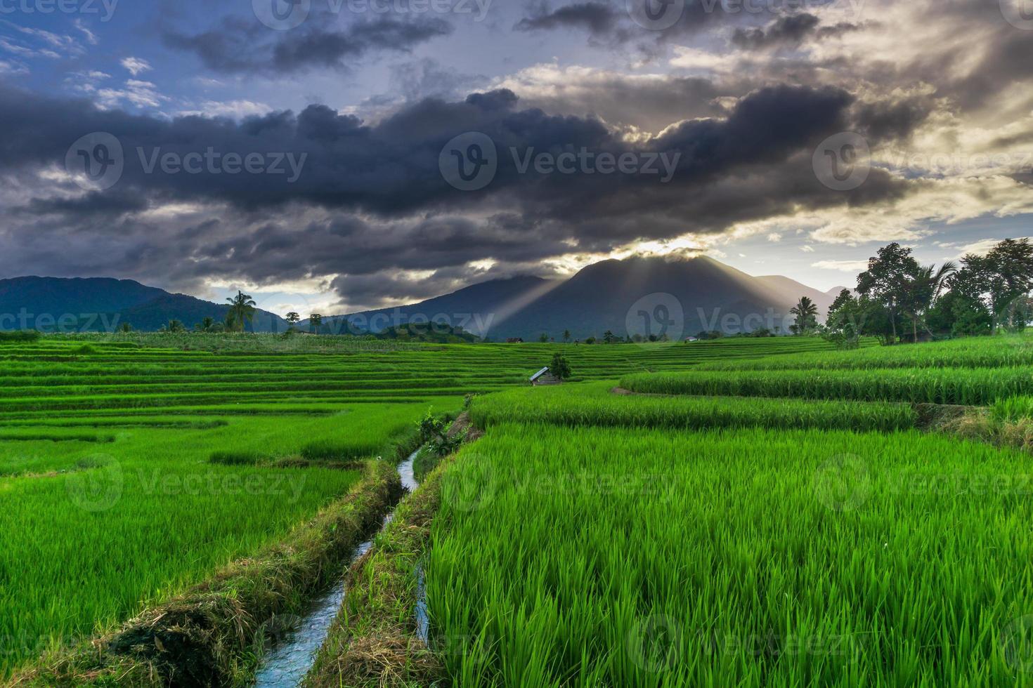 mooi zonnig ochtendpanorama in de groene rijstvelden onder de Indonesische bergen foto