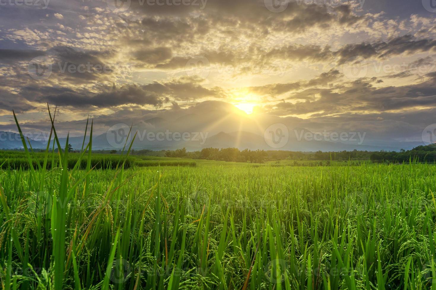 Indonesisch ochtendzicht met de zon die over de bergen en groene rijstvelden schijnt foto