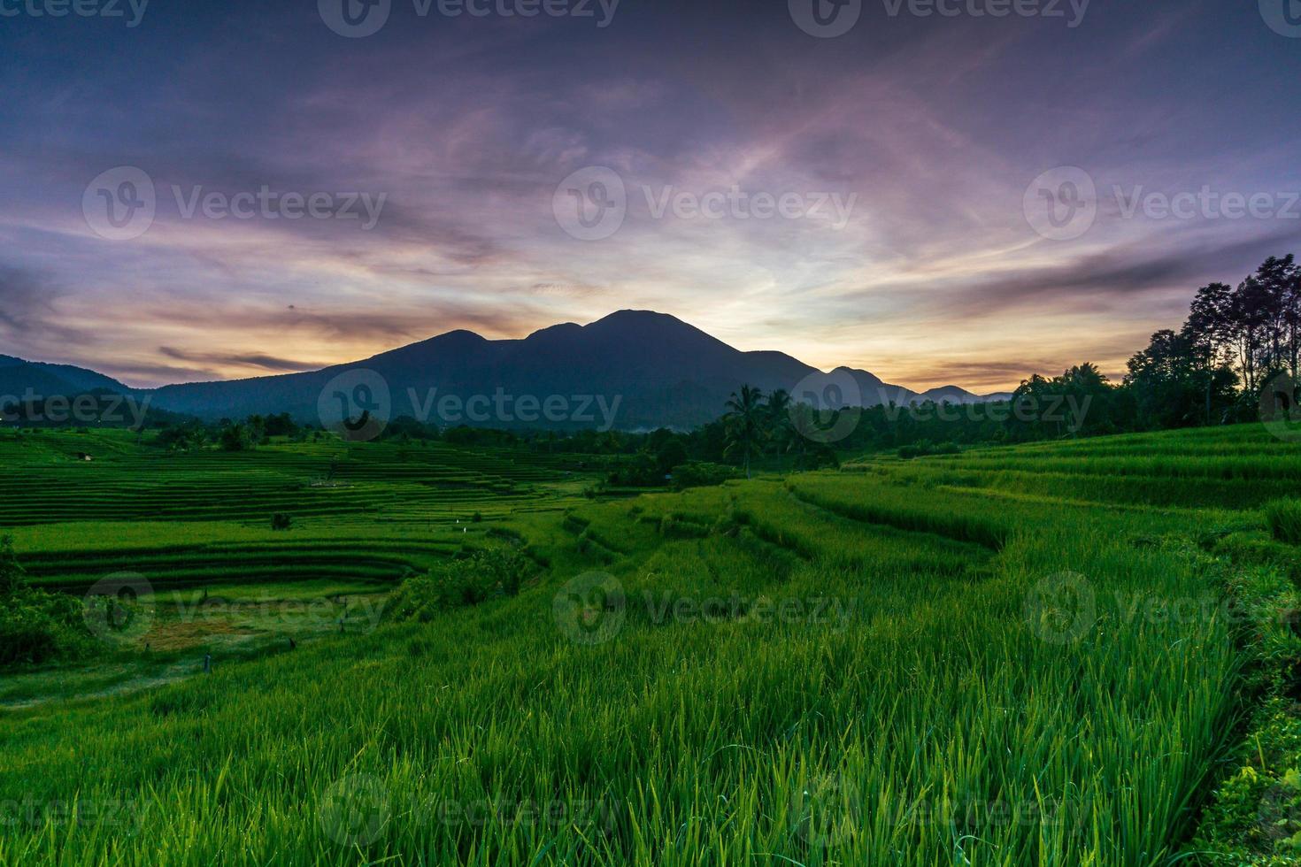 het buitengewone natuurlijke landschap van Indonesië. ochtendzicht met zonsopgang in de rijstvelden foto