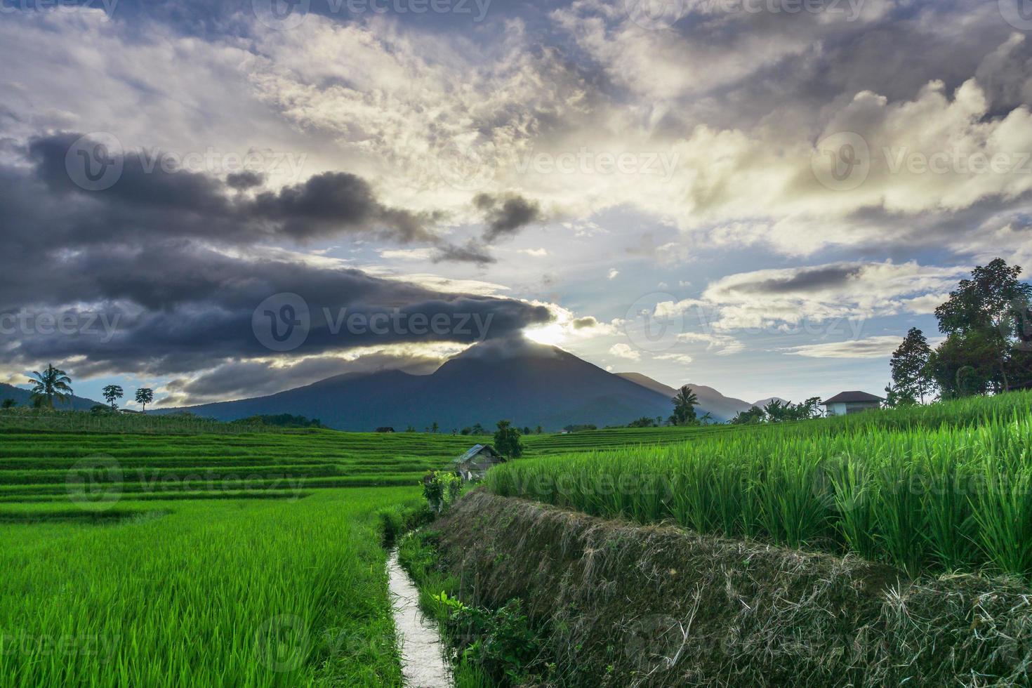 panoramisch Indonesië uitzicht op groene rijstterrassen en bergen als de ochtend schijnt foto