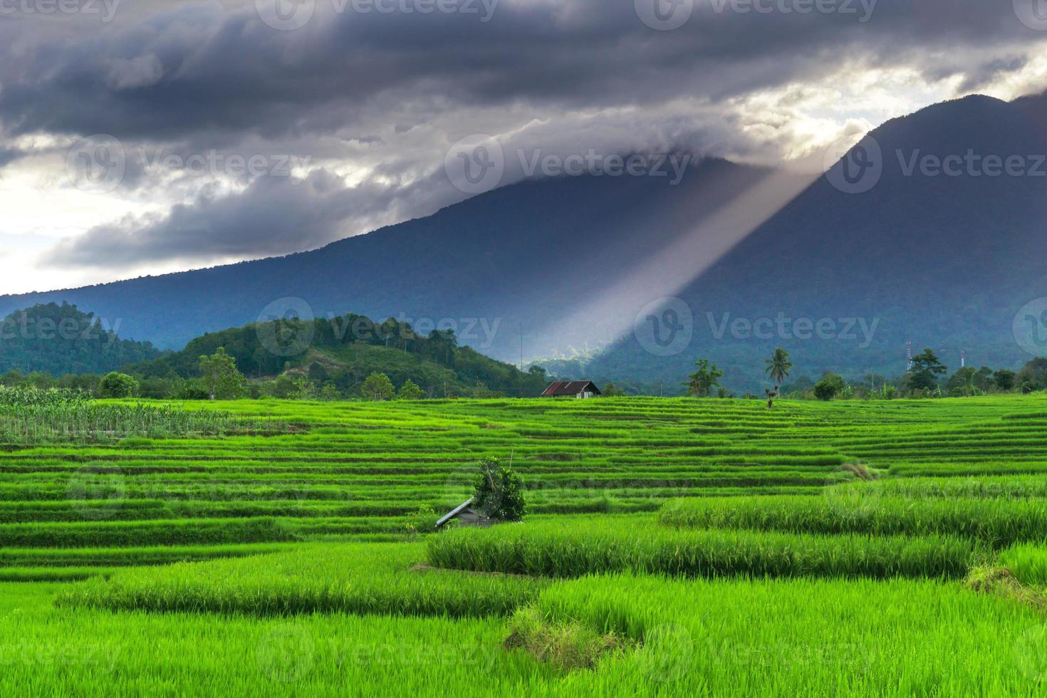 natuurlijk panorama van groene rijstvelden en bergen op een zonnige ochtend in Indonesië foto