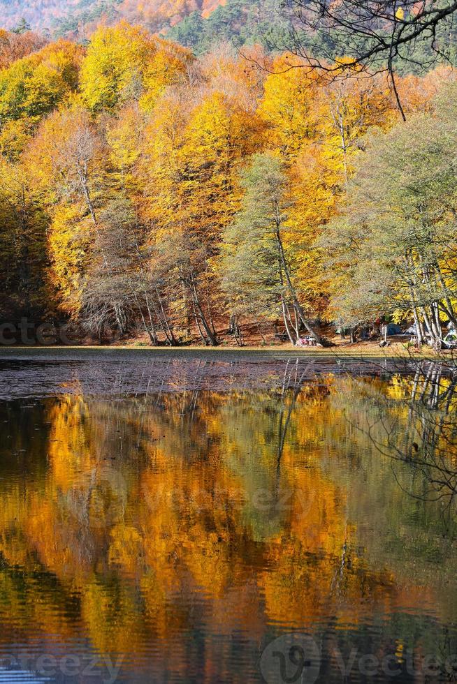 derin meer in yedigoller nationaal park, bolu, turkije foto