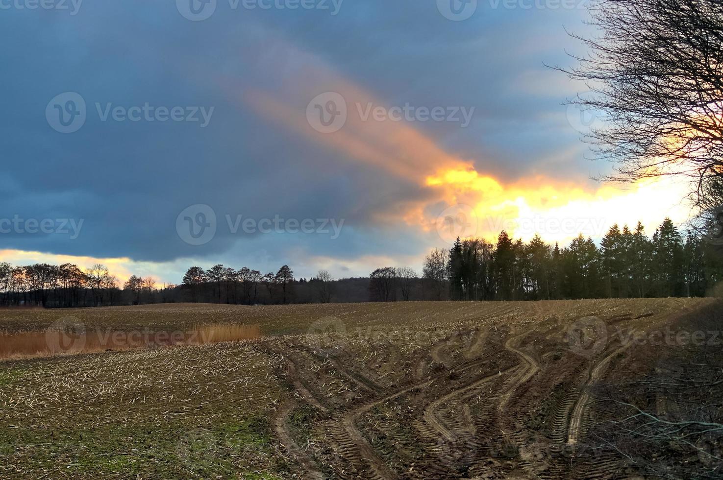 prachtig panorama van oranje en gele wolken bij zonsopgang foto