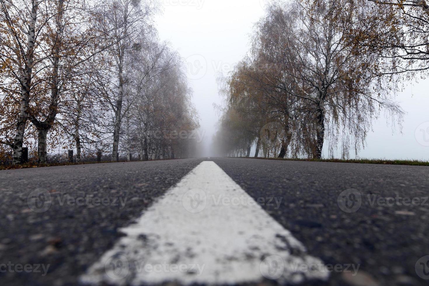 geasfalteerde weg, herfst foto