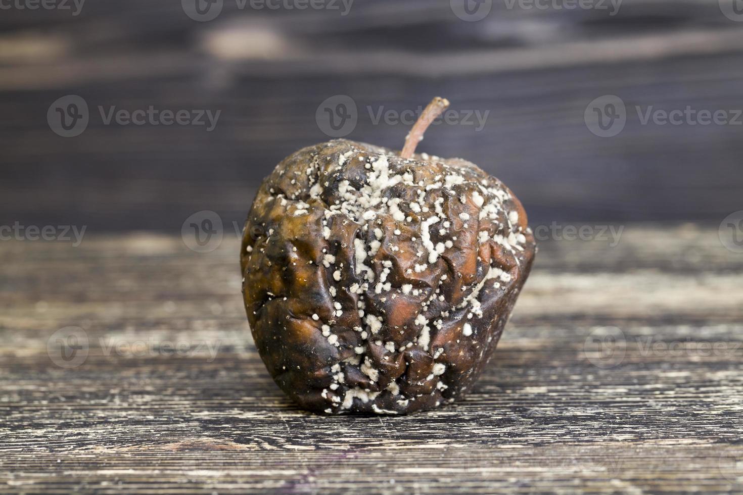 met meeldauw bedekte zwartgeblakerde zwarte appels foto