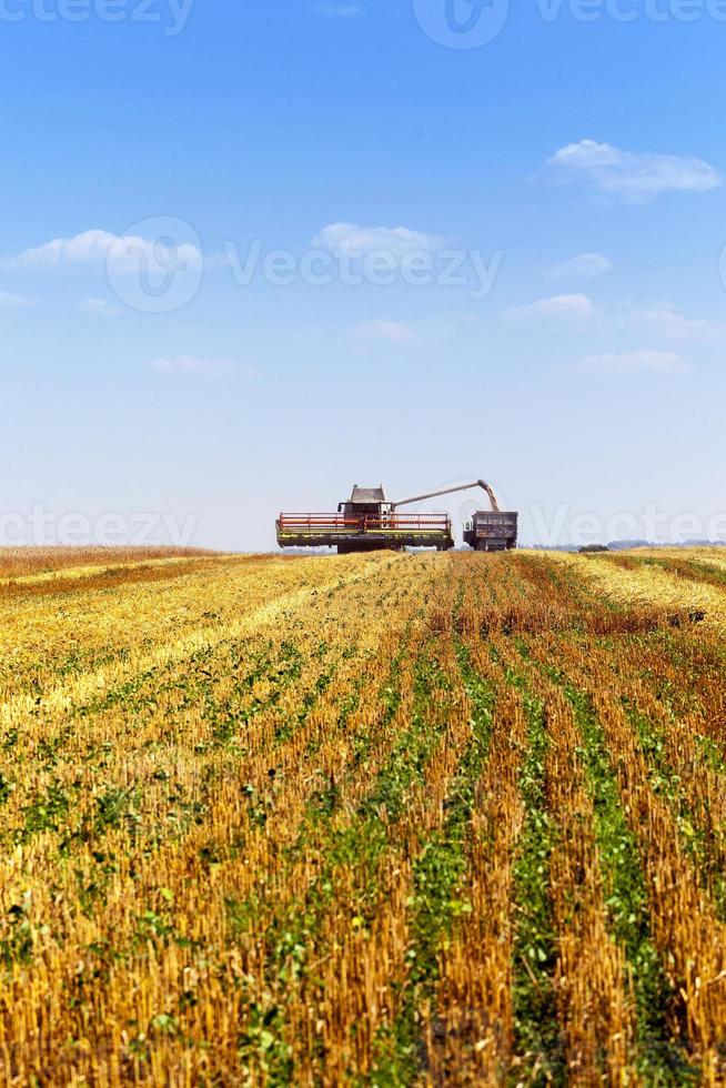 agrarische veldreiniging foto