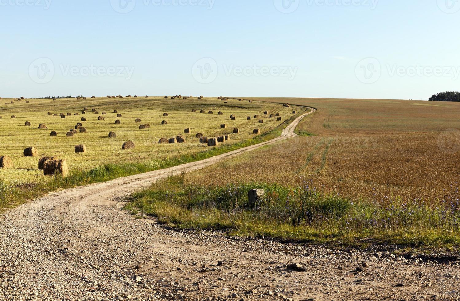 bochtige weg het veld in foto