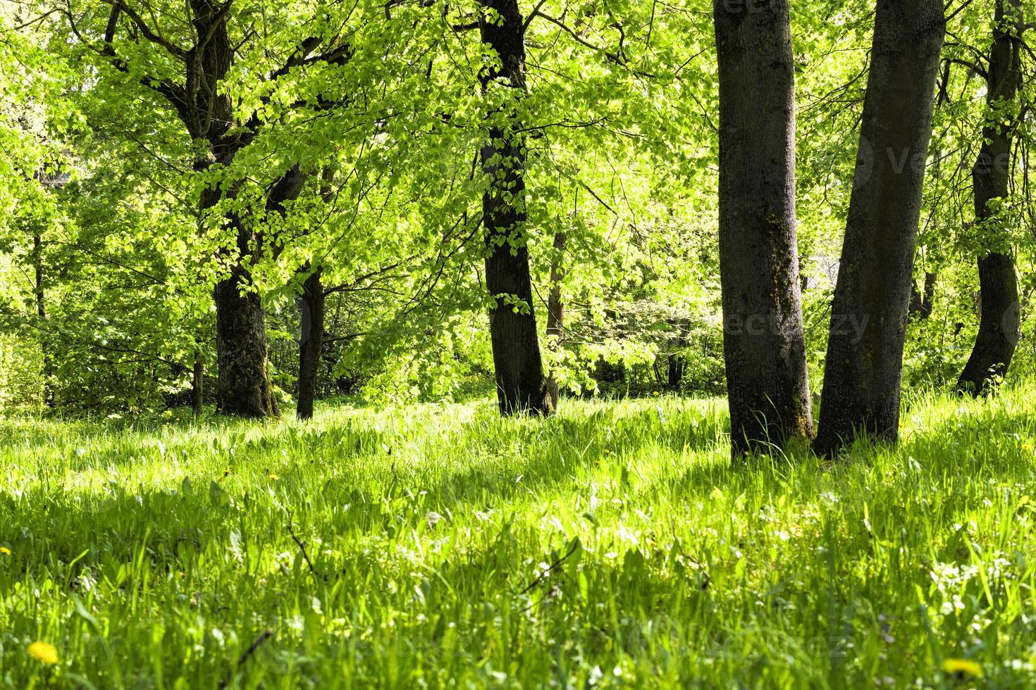 zonnig helder weer foto