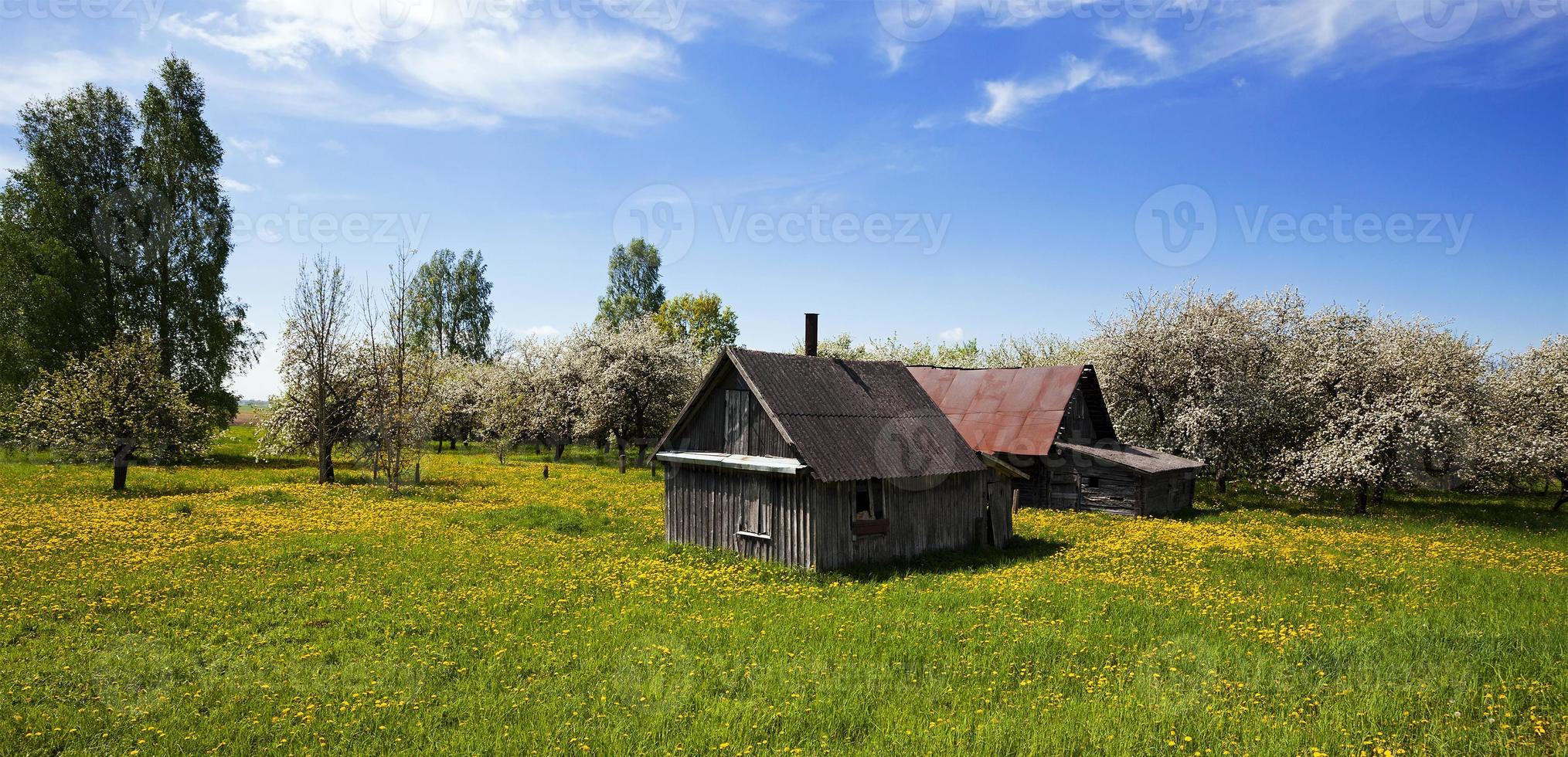 het huis in een veld foto