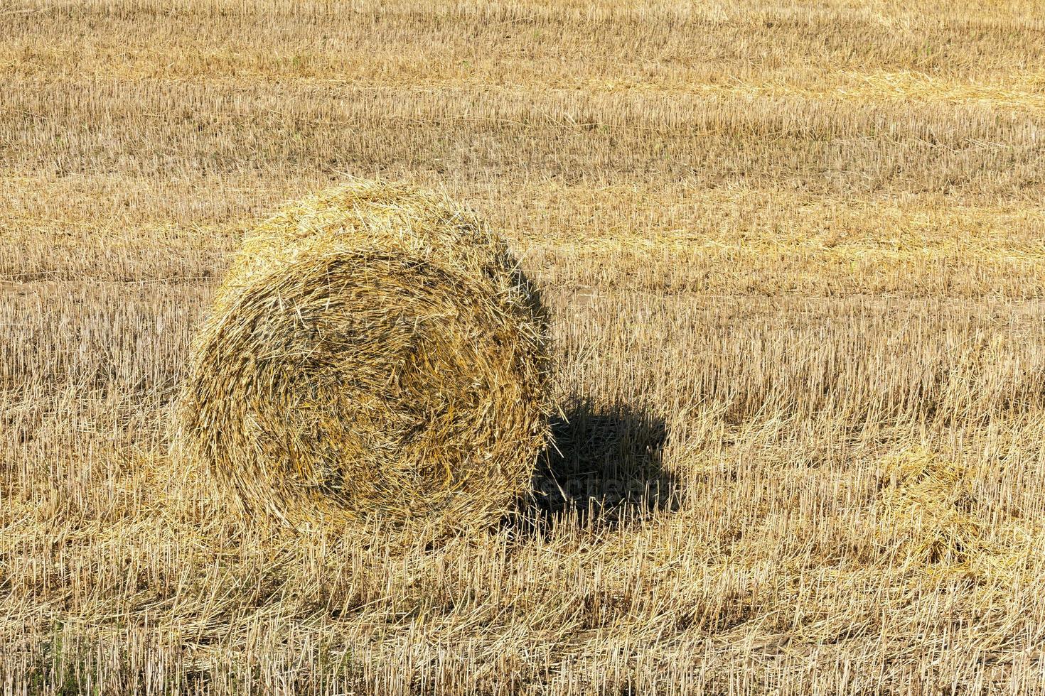 een hooiberg, close-up foto