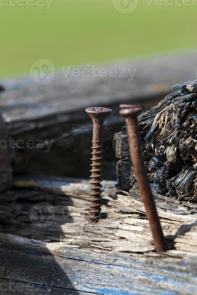 oude metalen spijkers foto