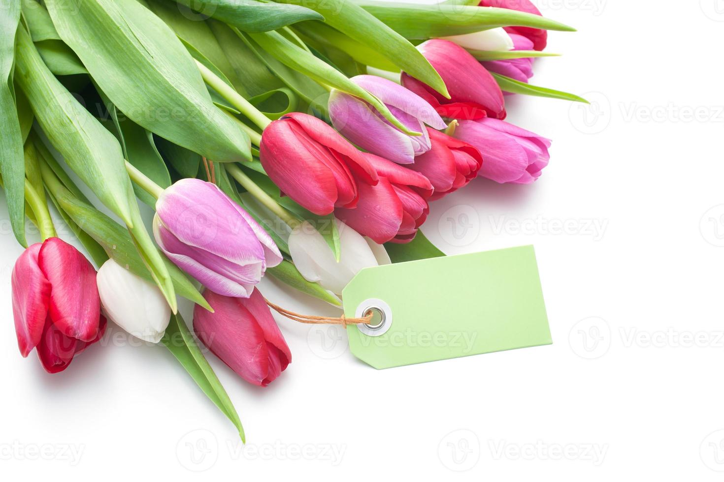 verse tulpen en tag met kopie ruimte foto