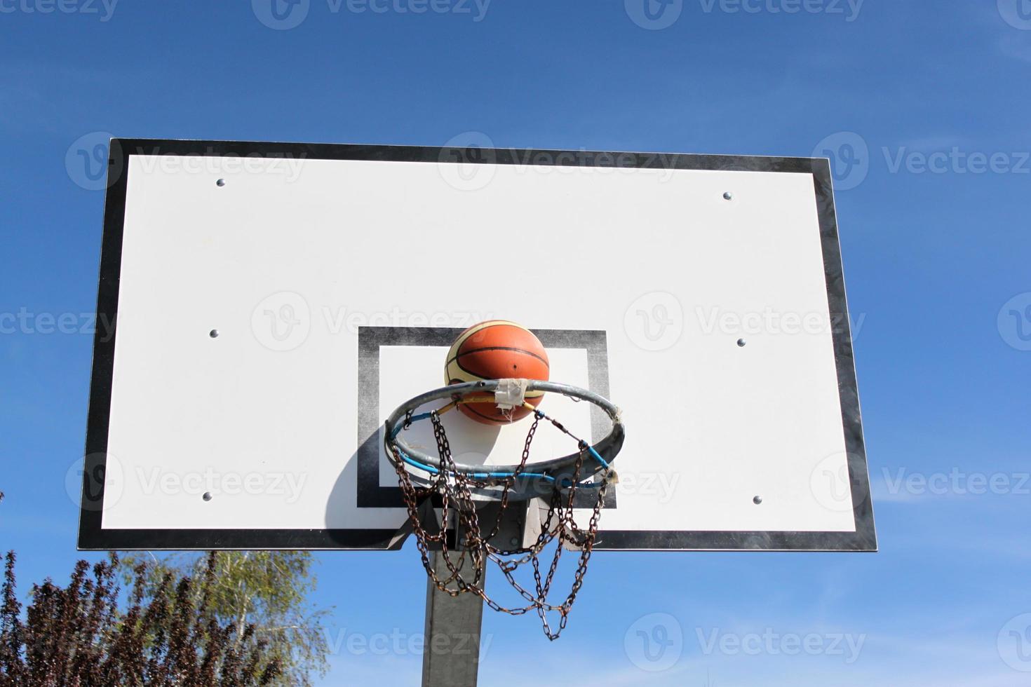 basketbal foto