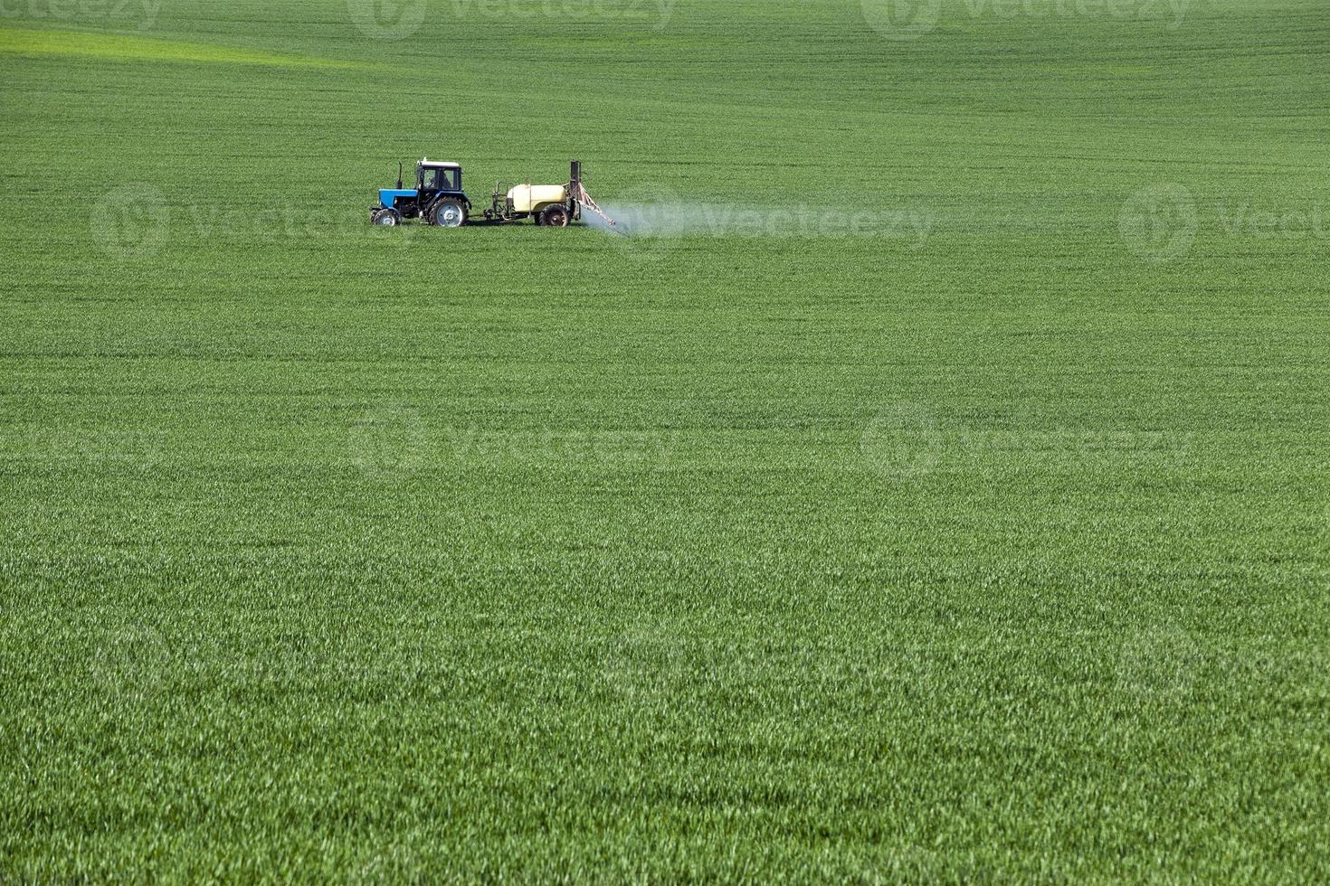 verwerking van granen foto