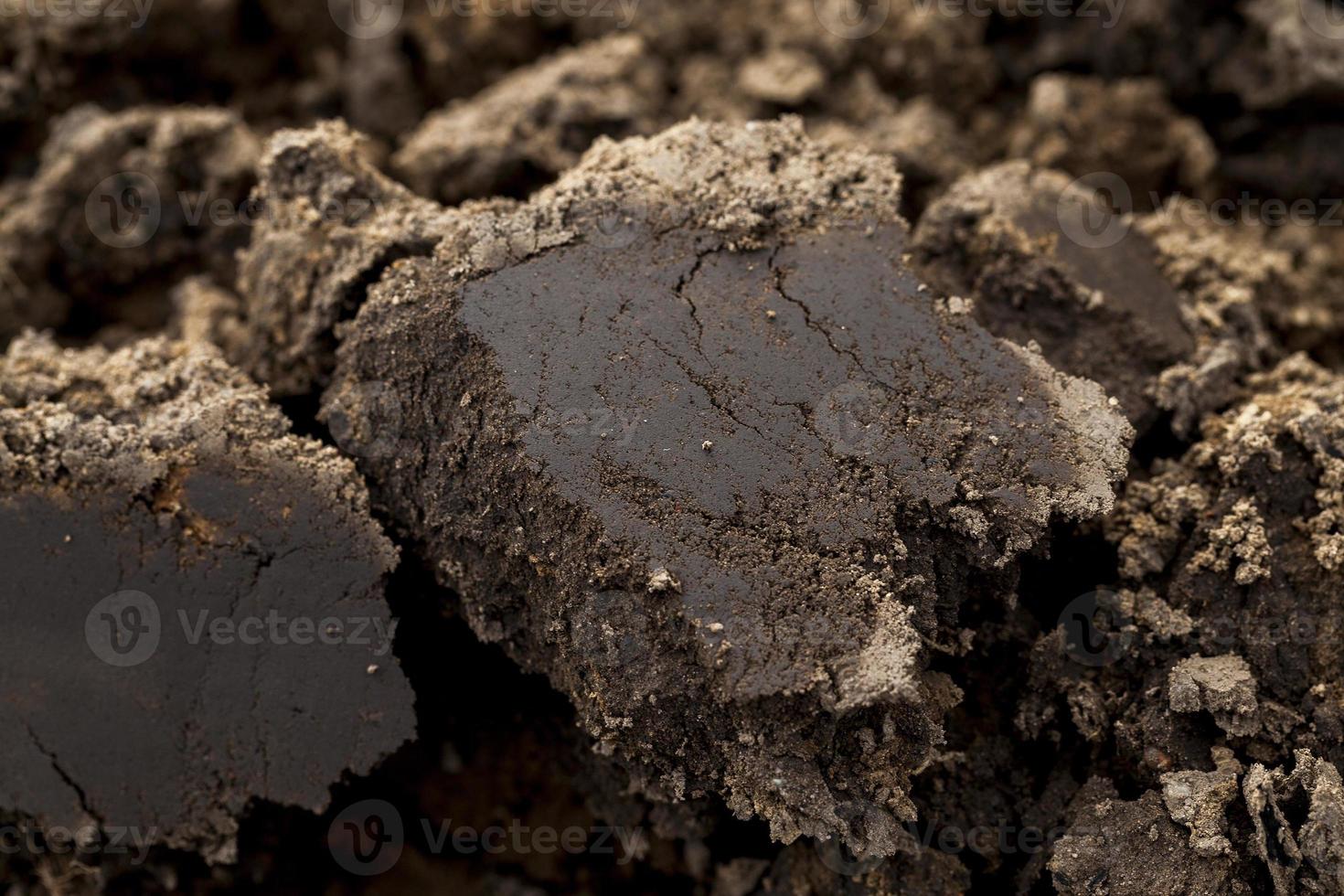 geploegd land, close-up foto