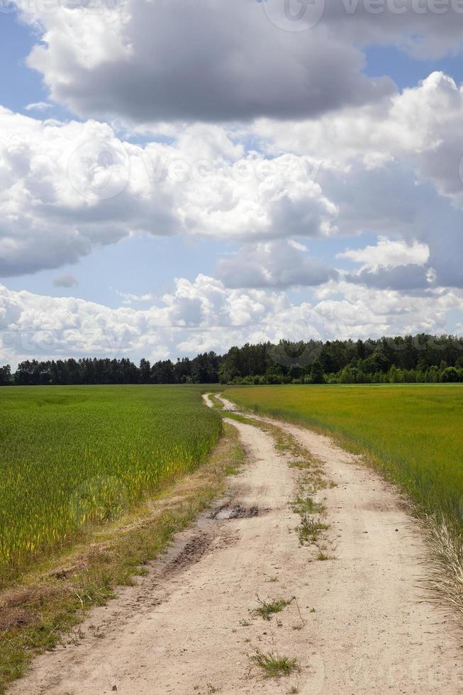 land onverharde weg in het veld foto