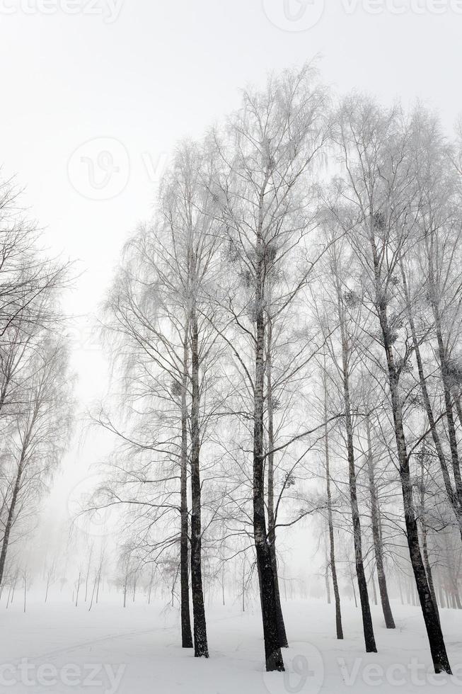 parkeren in de winter foto