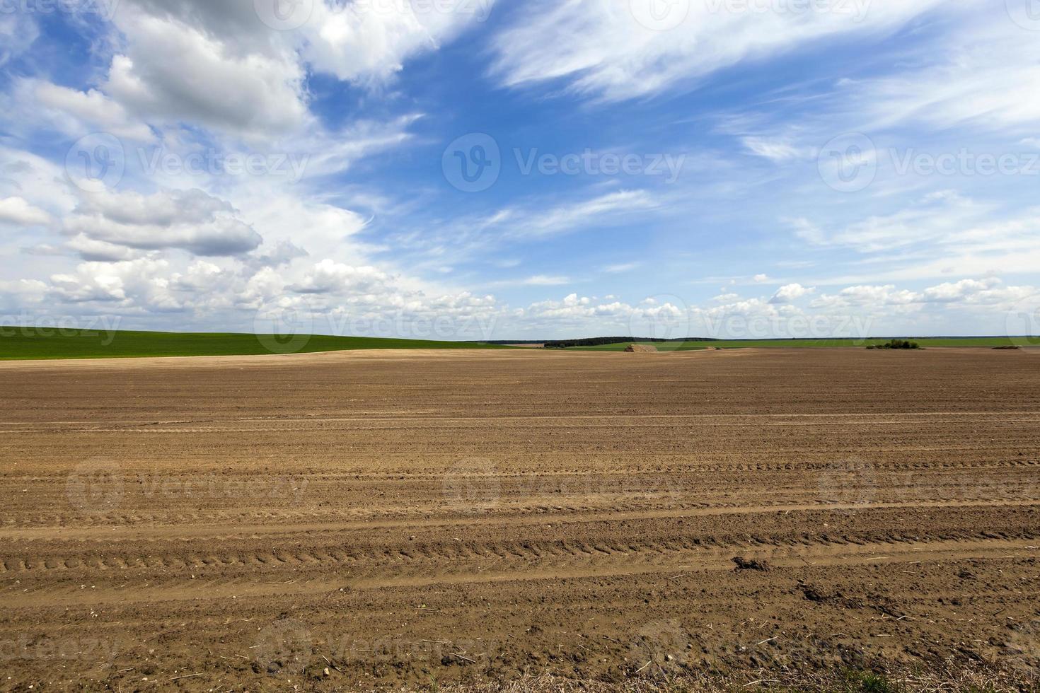 geploegde landbouwgrond foto