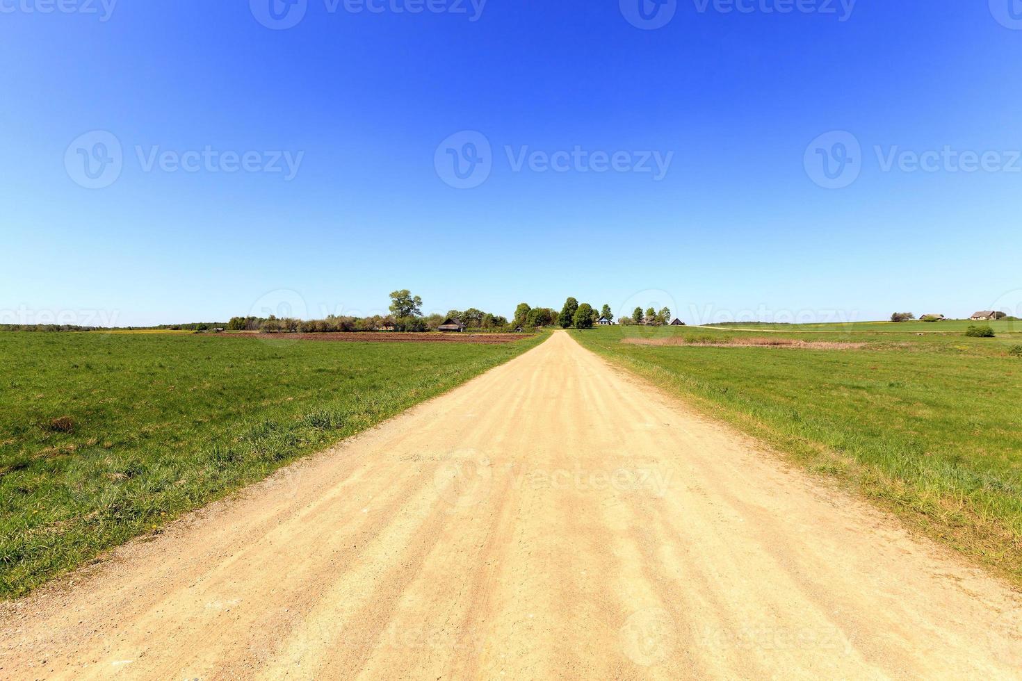 landelijke weg, lente foto