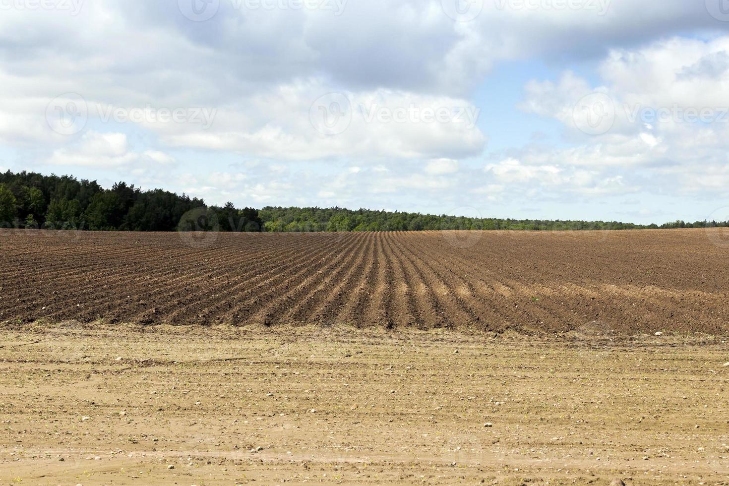 geploegd land, voren foto