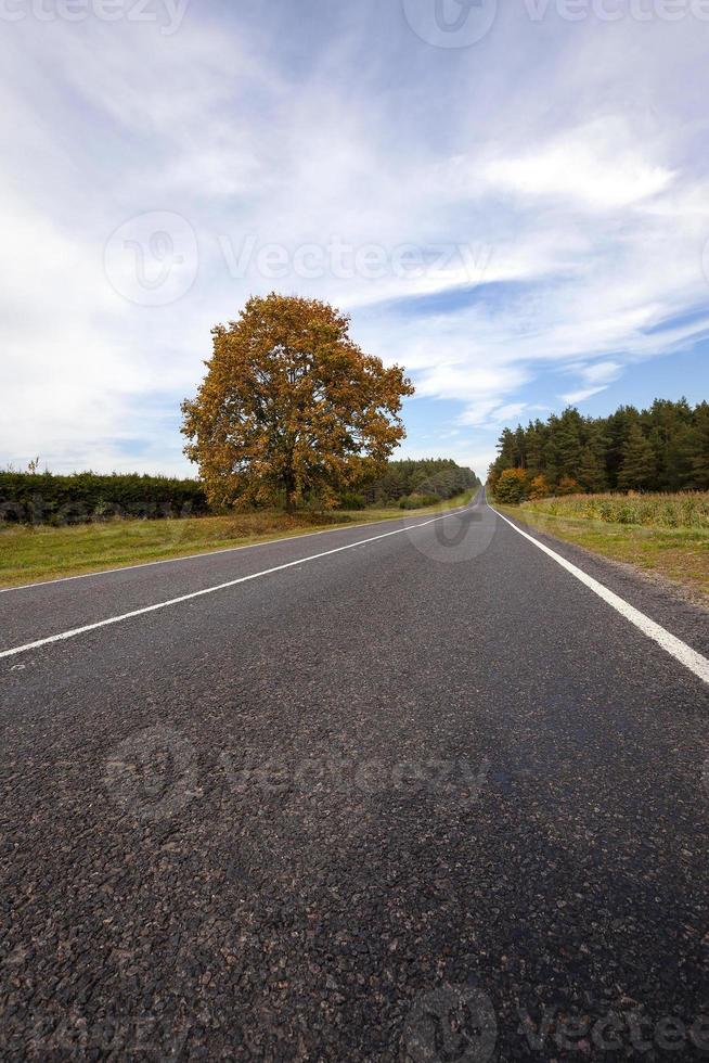 de herfstweg foto