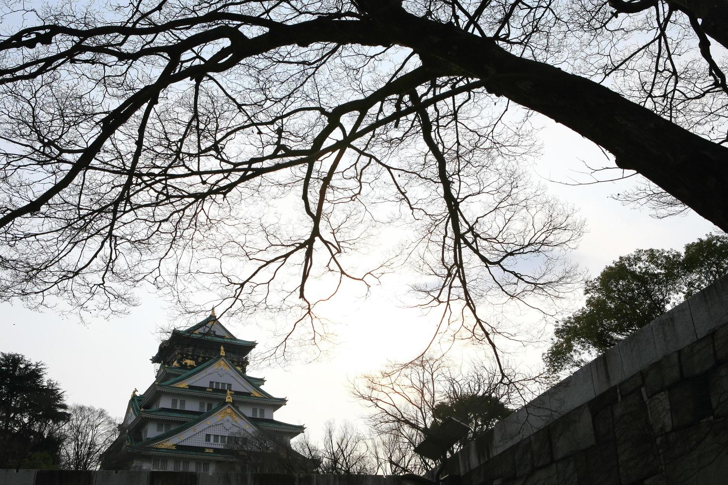 osaka kasteel in osaka, japan foto