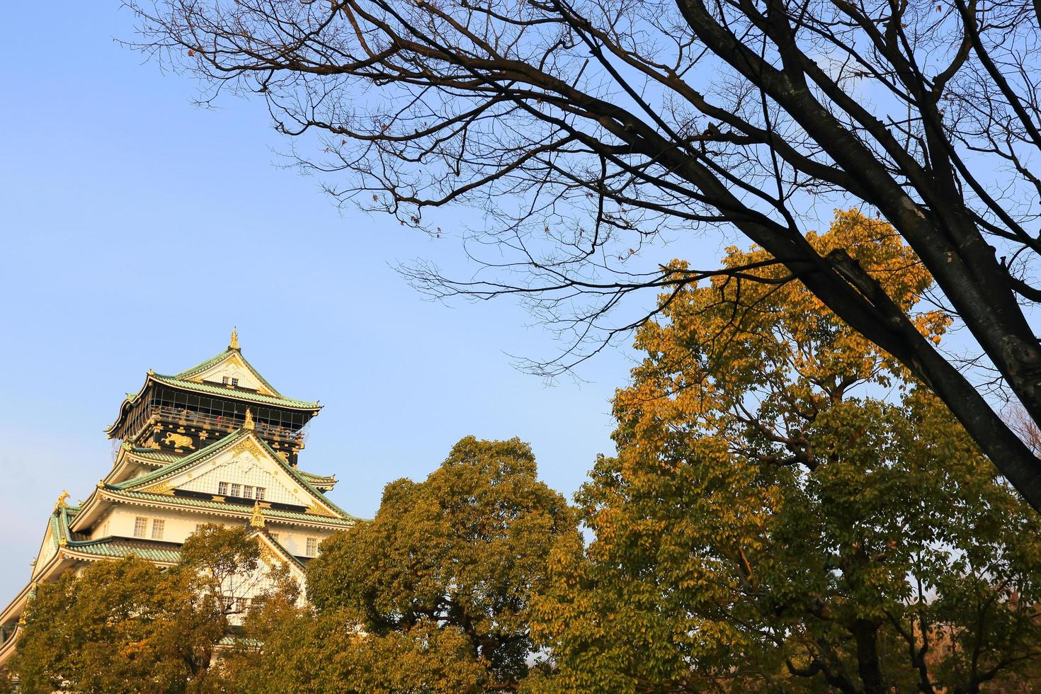 osaka kasteel in osaka, japan foto