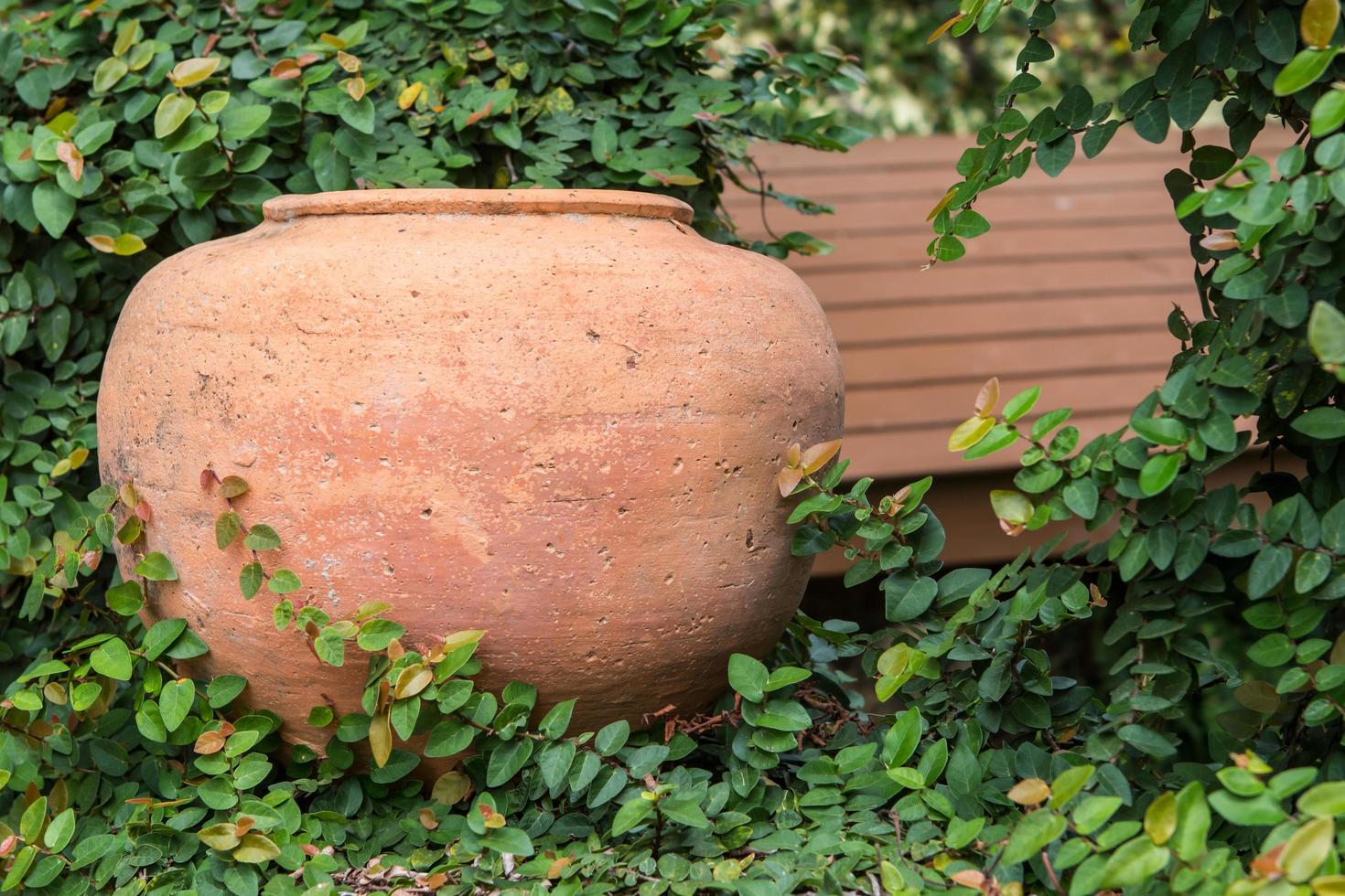 pot of plantenbak met planten foto