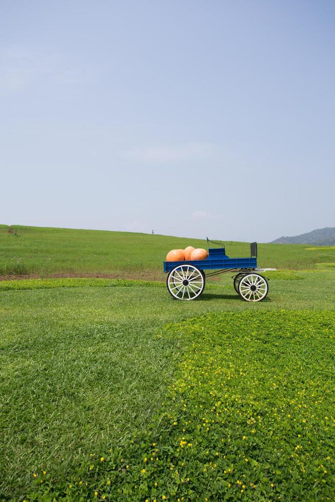 wagen vol pompoenen in boerderij foto