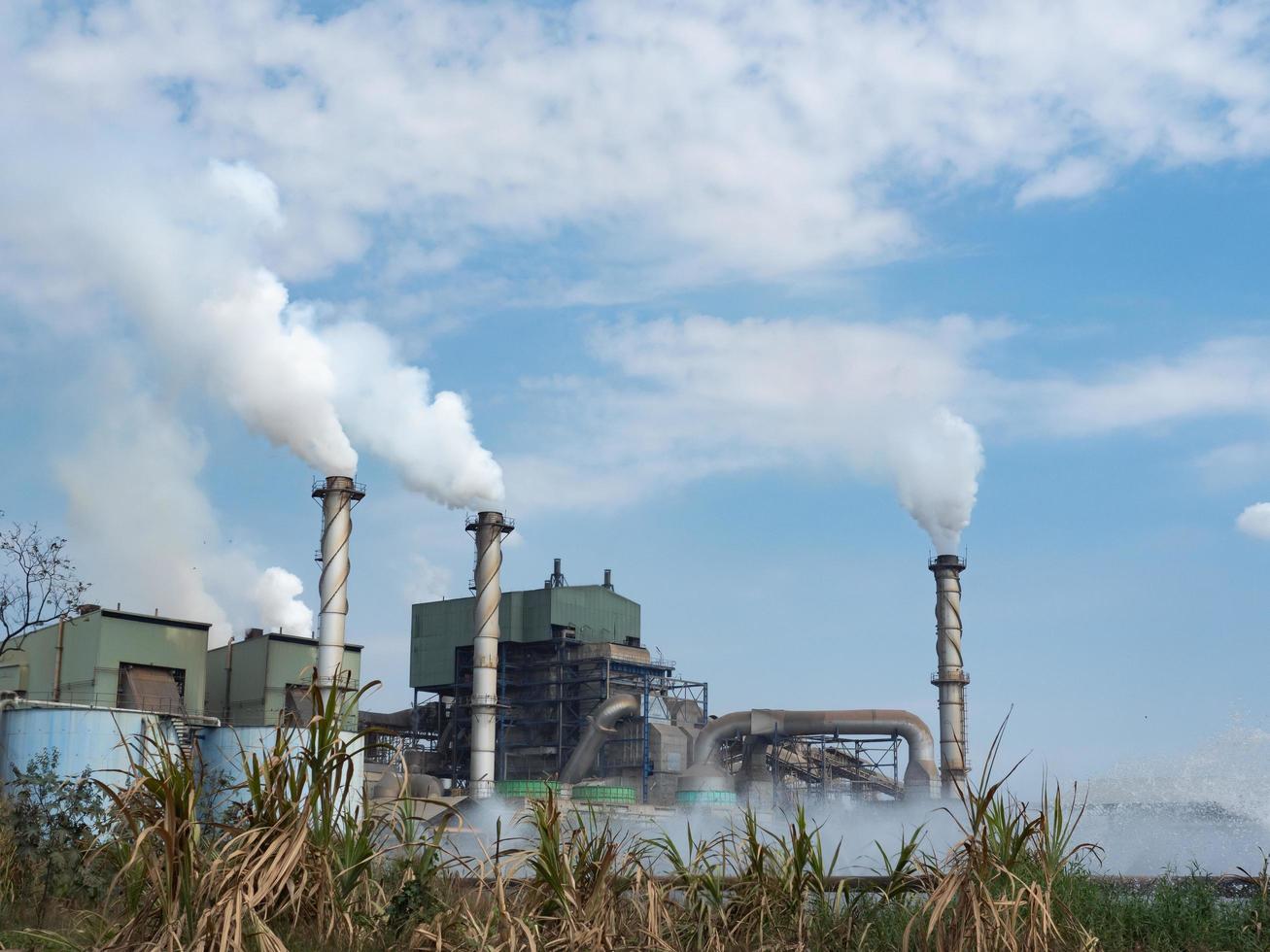 suikerriet fabriek foto