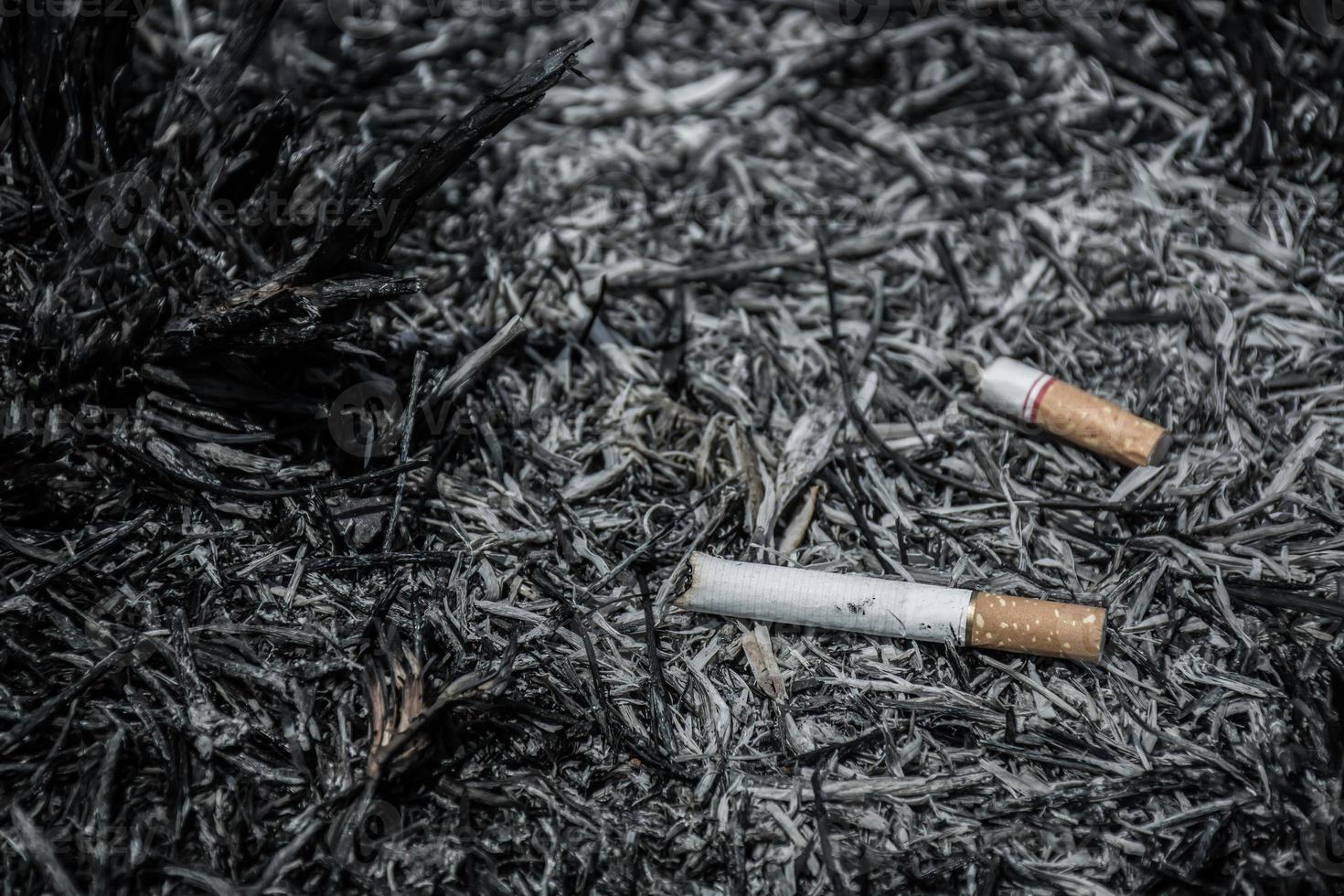sigaret in as verbranden leven en natuur achtergrond foto