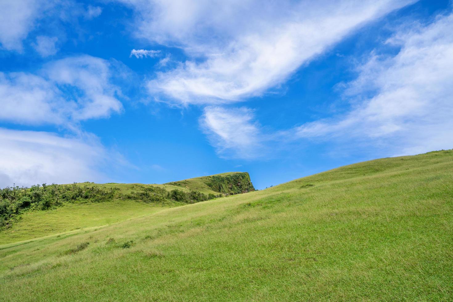 prachtig grasland, prairie in de Taoyuan-vallei, een bergpad loopt over de top van mt. Wankengtou in Taiwan. foto