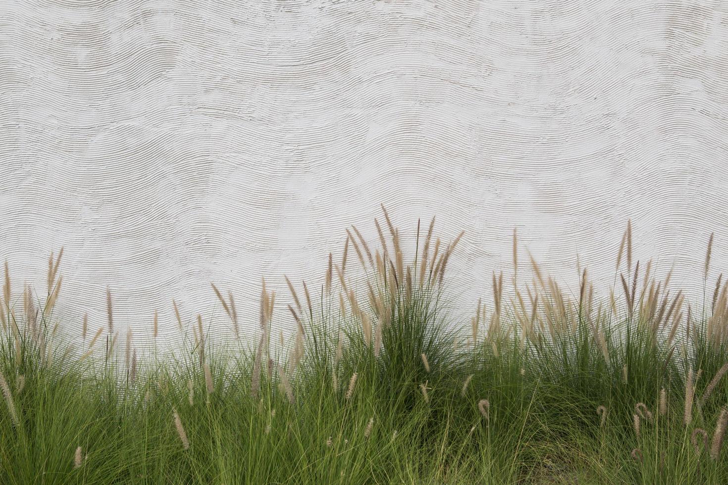 groen gras en witte bakstenen muur foto