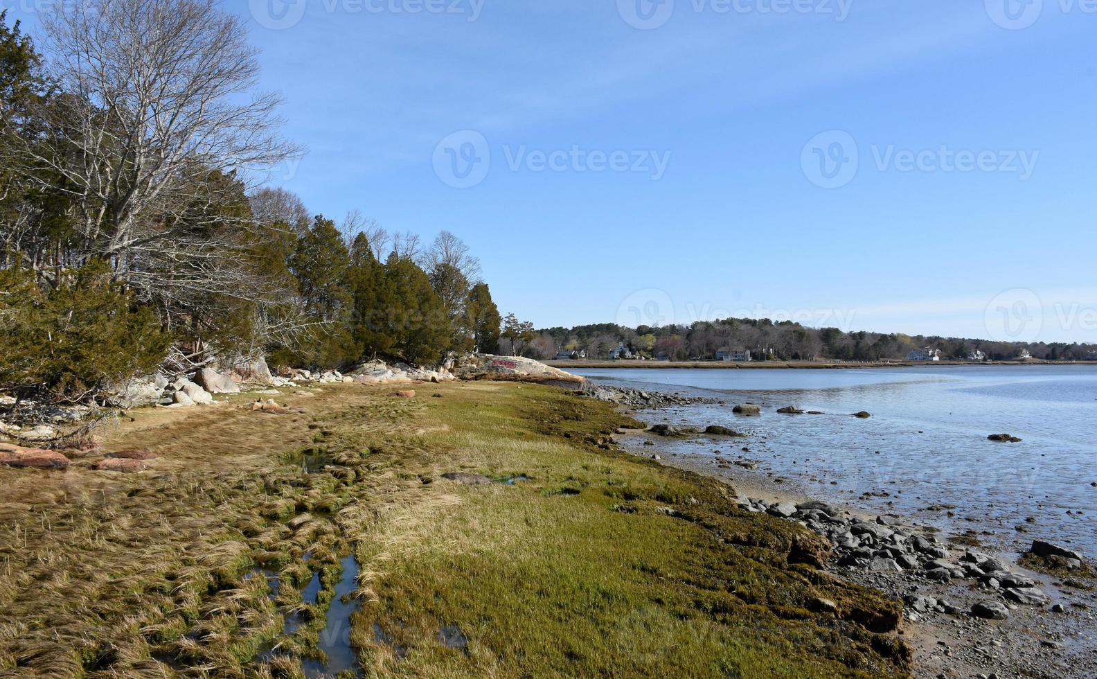 kustlijn met kwelder en zeegrassen foto