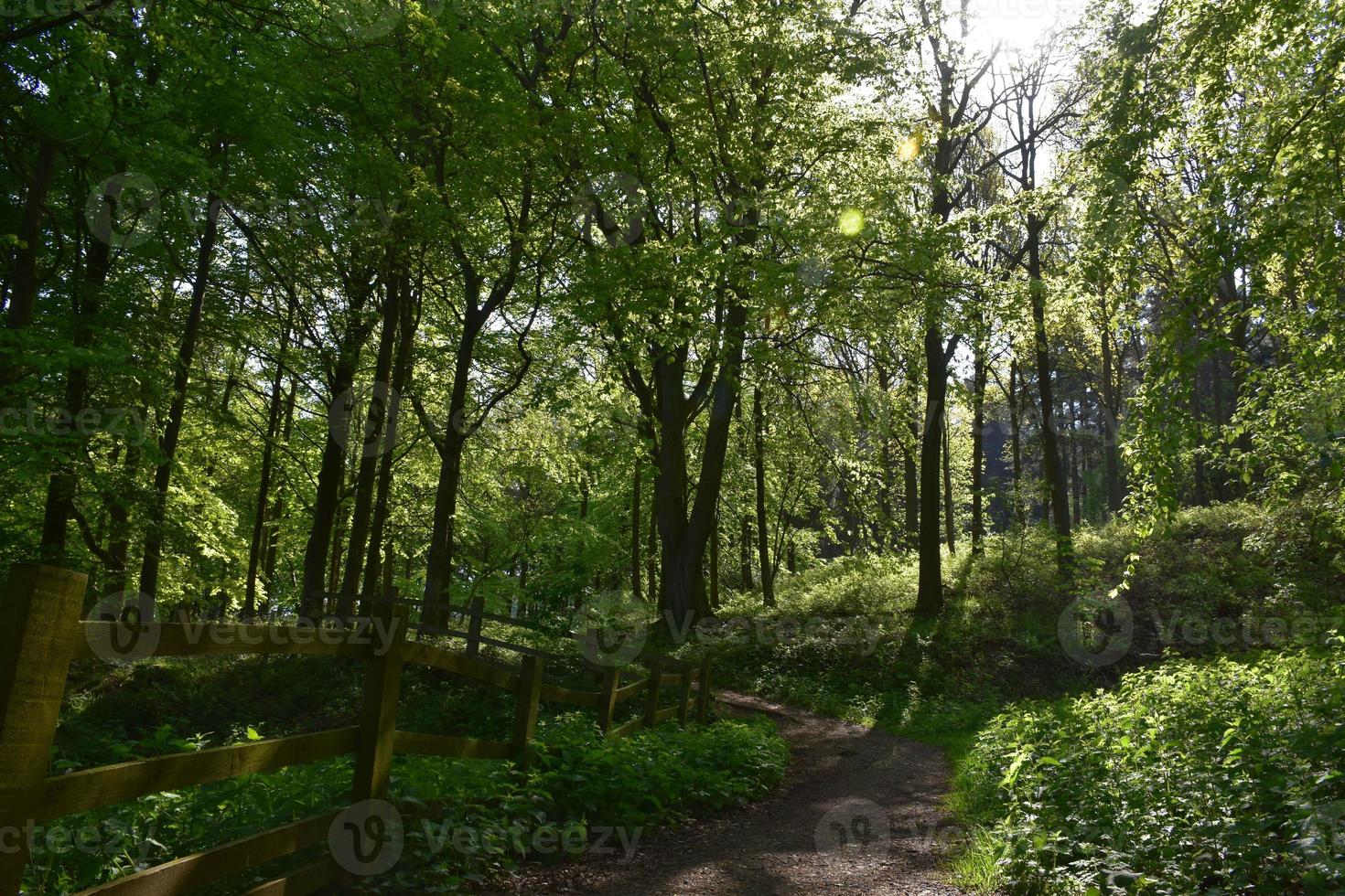 bebost pad dat de route van kust tot kust markeert foto