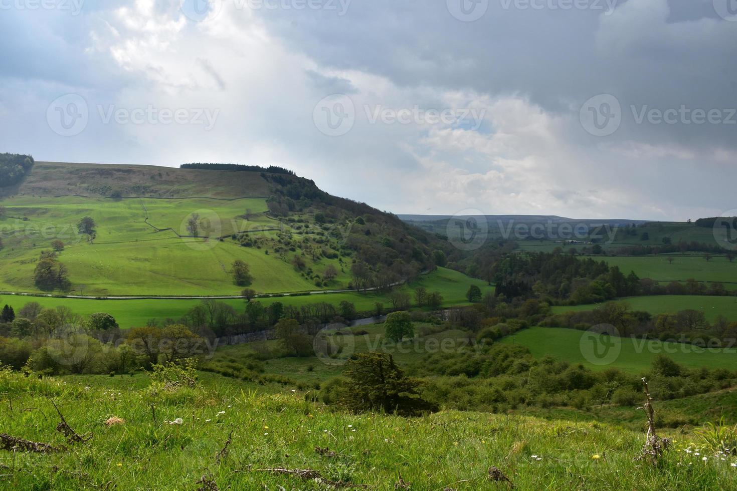 prachtig swaledale landschap in het noorden van engeland in de lente foto