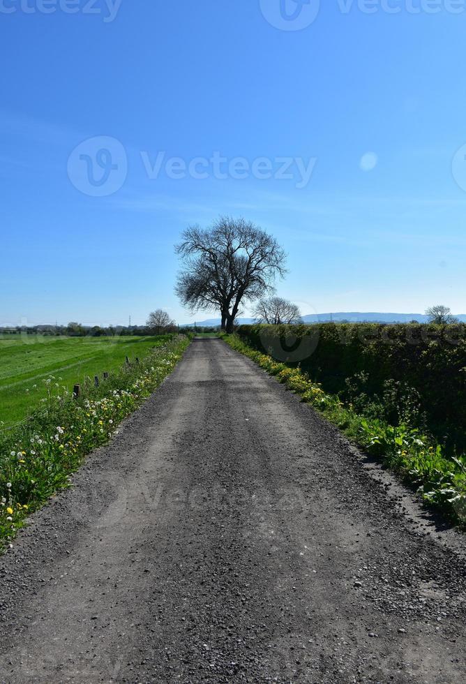 onverharde weg door een veld op het platteland foto